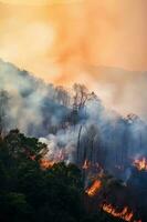 Forest fire background photo