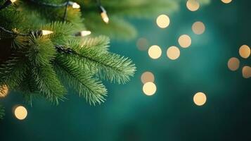 Navidad verde abeto rama con luces foto