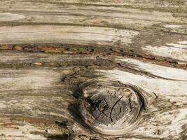 industrial style old wood texture background photo