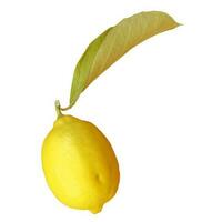 lemon isolated over white photo