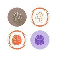 Brain Vector Icon