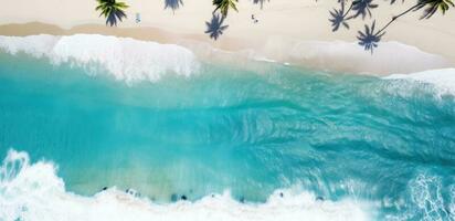 An aerial view of the tropical beach and ocean with palm trees photo