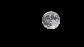 Super voll Mond im das dunkel Himmel video