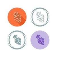 Grapes Vector Icon