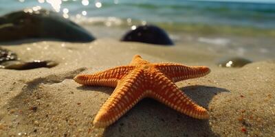 . . Sea navy nautical marine starfish beach island sand ocean vacation relax sun vibe. Graphic Art photo