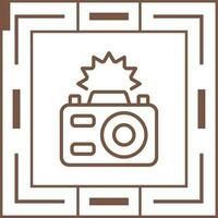 Camera Flash Vector Icon