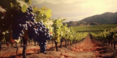 ai generado. ai generativo. foto ilustración de vino uva viñedo lagar planta campo naturaleza al aire libre campo. gráfico Arte