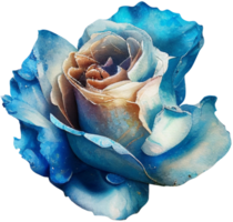 Aquarell Blumen- Rosen png transparent Hintergrund ai generativ