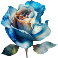 Watercolor floral roses png transparent background AI Generative