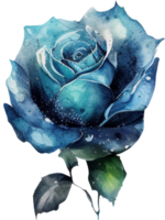 Aquarell Blumen- Rosen png transparent Hintergrund ai generativ