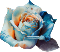 Aquarell Blumen- Rosen png transparent Hintergrund ai generativ