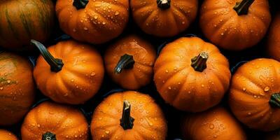 AI Generated. AI Generative. Yellow fresh small pumpkins. Halloween thanksgiving autumn october vegetable. Graphic Art photo