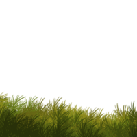 Green grass illustration png