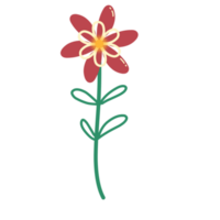 Botanical flower doodle png