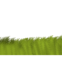 Green grass illustration png