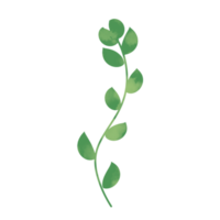 groen botanisch bladeren png