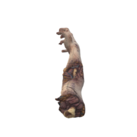 gelukkig halloween decoratie png