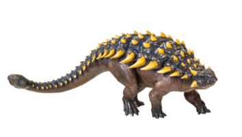 Ankylosaurus dinosauro , isolato sfondo png