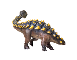 Ankylosaurus dinosauro , isolato sfondo png
