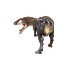 dinosaurus , carcharodontosaurus geïsoleerd achtergrond png