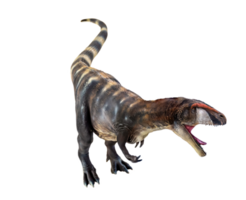 dinosaurie , carcharadontosaurus isolerat bakgrund png