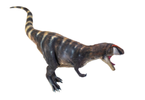 dinosauro , carcharadontosauro isolato sfondo png