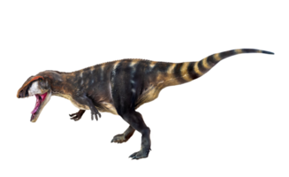 dinosaure , carcharadontosaure isolé Contexte png