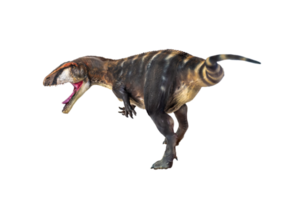 dinosaur , Carcharadontosaurus  isolated background png