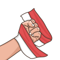 hand- Holding een Indonesië vlag png
