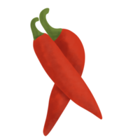 Red Chili Illustration png