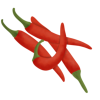 Red Chili Illustration png