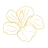 Gold funkeln Blume png