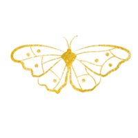 Gold Glitter Butterfly png