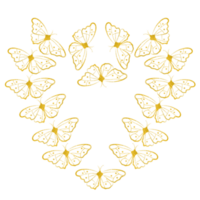 or briller papillon png