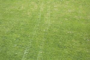 Green field. Top view of lawn. Green grass. photo