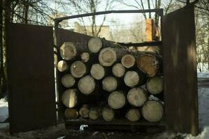 Logs in sawmill. Preparation of timber for transportation. Sawn borevna. photo