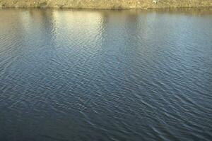 Water on lake. Waves on water. Pond in city. photo