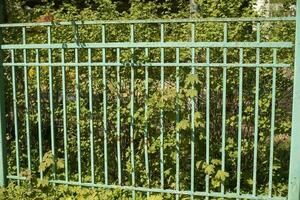 Green fence made of steel rods. Fence around park. Details of territory. photo