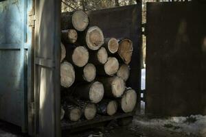 Logs in back of tractor. Felled trees. Swath of forest. photo