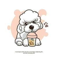 caniche perro linda Bebiendo boba prima vector ilustración