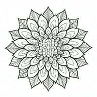 Boho Flowers Coloring Pages photo