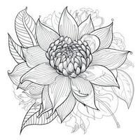 Boho Flowers Coloring Pages photo