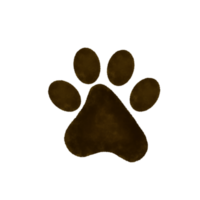 dog footprint watercolor png