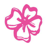 roze bloem element png