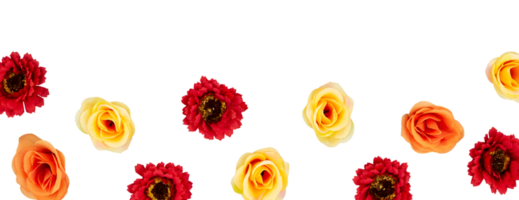 composition de floral Cadre isolé png