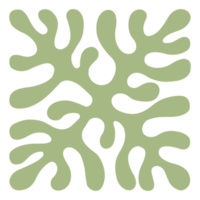 green floral shape element png