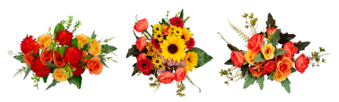 conjunto de floral ramo de flores decoración aislado png