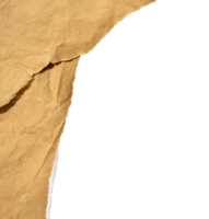 antiguo Rasgado papel borde png