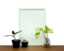 blank frame with plant in a vase on the table png