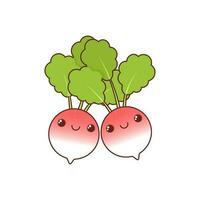 Two kawaii radishes with eyes isolated on white background vector